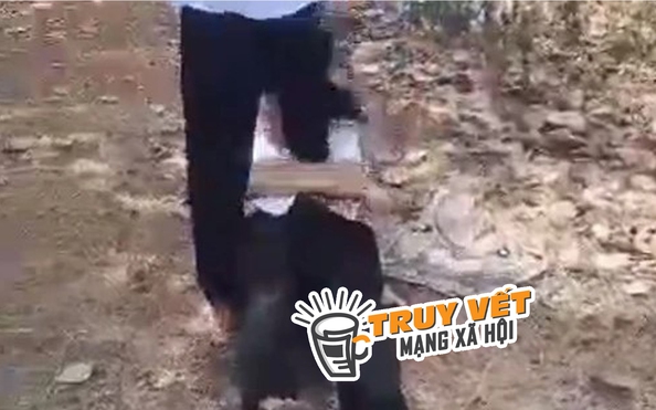 Nữ sinh lớp 7 bị nhóm bạn tỷ lệ kèo nhà cái malaysia lột quần áo, hành hung dã man