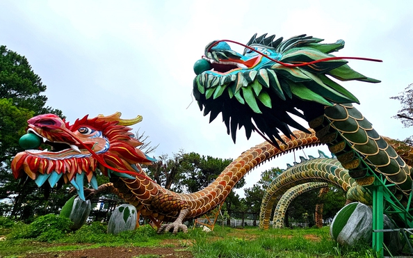 Chủ đầu tư nói gì khi lắp đặt cặp linh vật rồng không phép ở Đà Lạt?