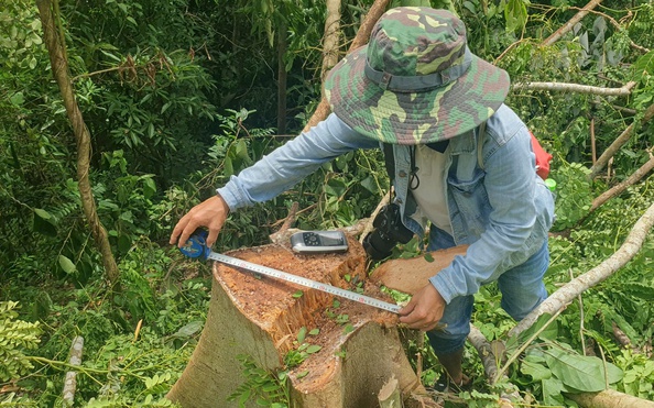 Tỉnh Quảng Trị chỉ đạo "nóng" sau loạt điều tra của tỷ lệ bóng đá kèo nhà cái Động
