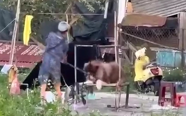 NGƯỢC ĐÃI ĐỘNG VẬT | Tin tuc CẬP NHẬT , nguoc dai dong vat | Báo Người lao động
