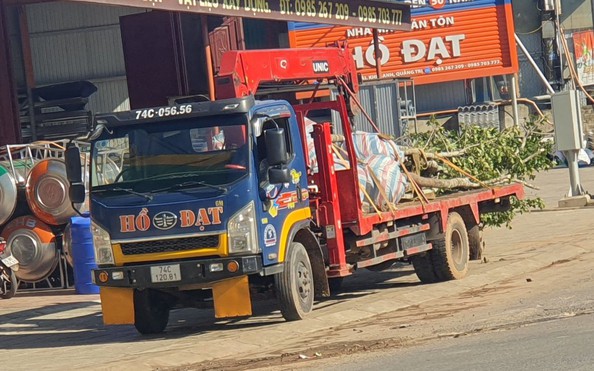 Bí mật sau những chuyến xe chở cây rừng ở tỷ lệ bóng đá kèo nhà cái Trị: Bất ngờ lời khai của tài xế chở cây!