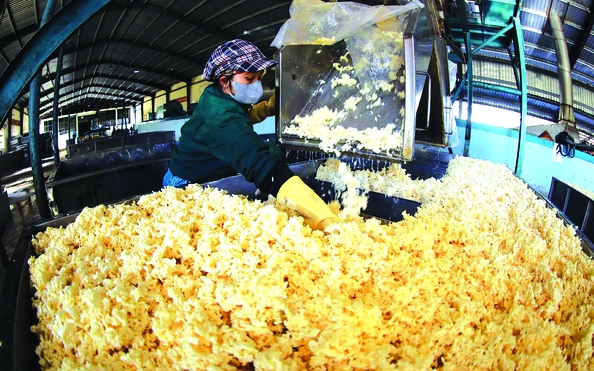 Bước chuyển của ngành tỷ lệ cá cược kèo nhà cái