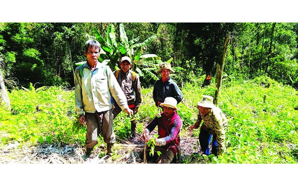 Giữ tỷ lệ kèo nhà cái hôm nay cho con cháu