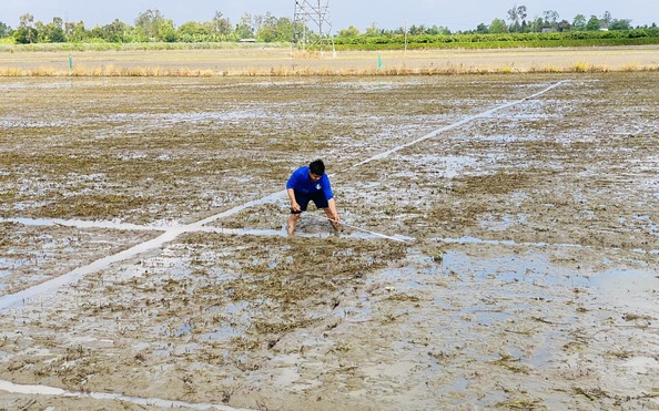 kèo nhà cái tỷ lệ bóng đá gặp triều cường, Tây Nam bộ bị xâm nhập mặn trong những ngày Tết