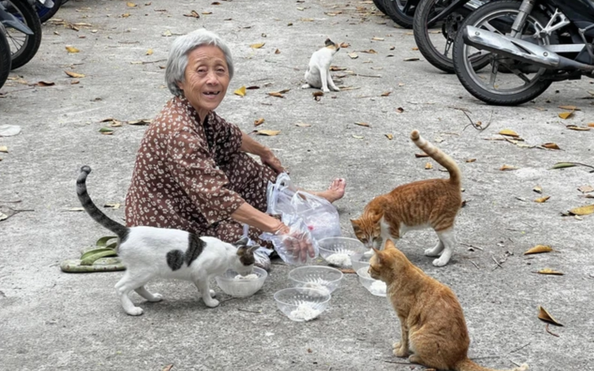 Tài khoản "Hanh Nha Meo" làm ảnh hưởng nghiêm trọng uy tín tỷ lệ bóng đá kèo nhà cái Thảo Cầm Viên Sài Gòn