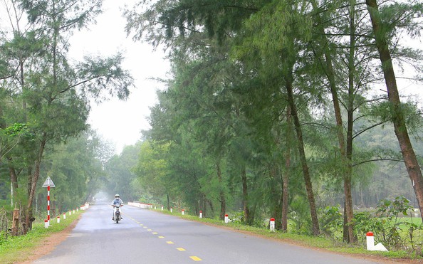 Dựng vành đai tỷ lệ bóng đá kèo nhà cái ven biển