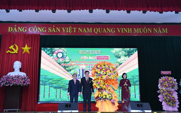 Kế hoạch lớn của Tổng Công ty tỷ lệ cá cược kèo nhà cái Đồng Nai