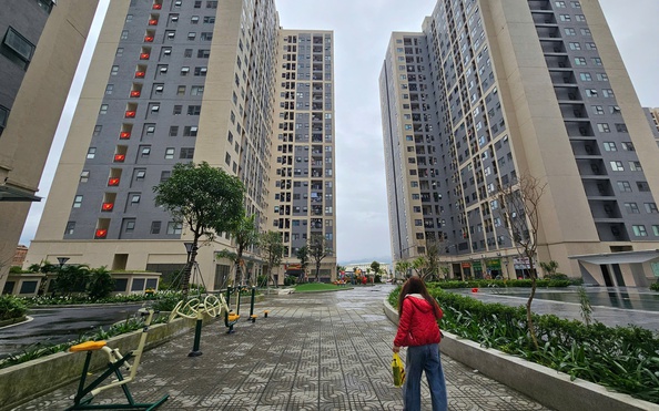 Bất ngờ bên trong căn hộ nhà ở tỷ lệ cá cược kèo nhà cái giá chỉ hơn 500 triệu đồng ở Đà Nẵng