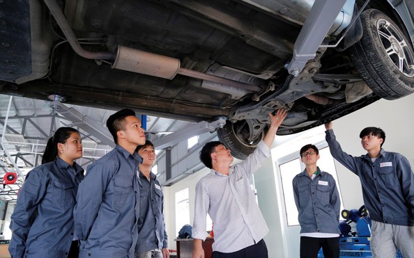 Tuyển tỷ lệ kèo nhà cái 88 sang Đan Mạch lương hơn trăm triệu