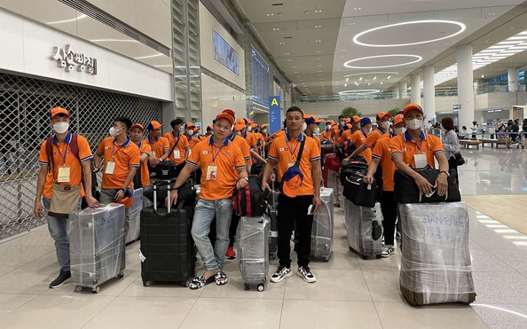 Cảnh báo lừa đảo tuyển tỷ lệ kèo nhà cái 88 sang Hàn Quốc làm việc