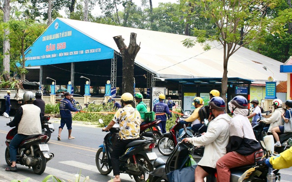 Vỉa hè "nuốt" cây xanh, đô thị mất mát lớn