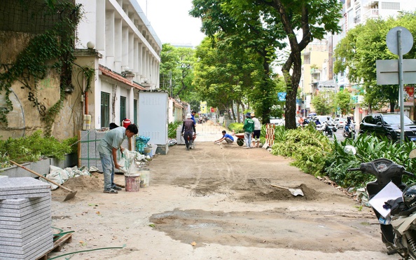Bao nhiêu vỉa hè thi công gây ảnh hưởng cây xanh?