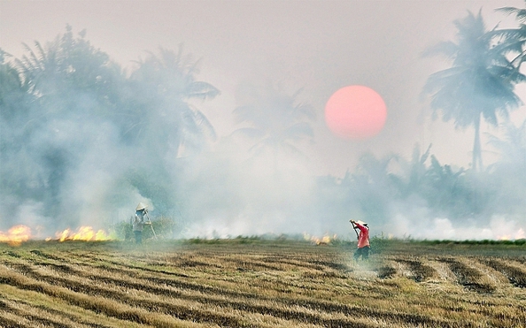 Nhớ khói đốt đồng…