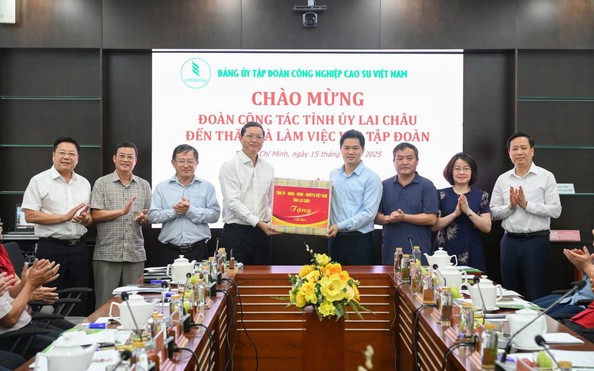 Lai Châu và VRG phối hợp phát triển tỷ lệ cá cược kèo nhà cái, nâng kinh tế vùng cao