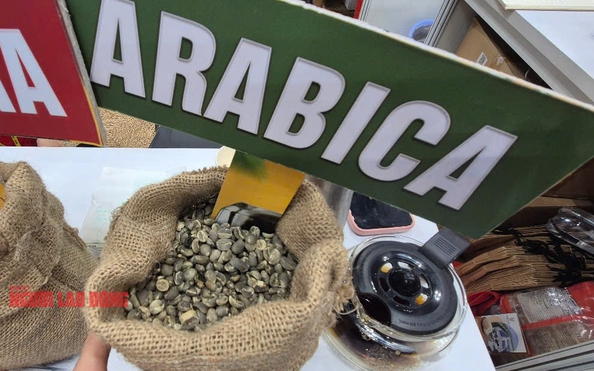 Giá cà phê hôm kèo nhà cái tỷ lệ bóng đá 25-4: Arabica "nóng ran"