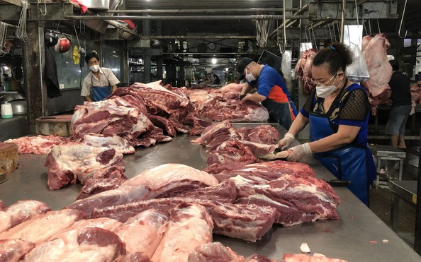 Giá tỷ lệ bóng đá kèo nhà cái hôm nay 25-4: Vì sao người nuôi ngại tái đàn?