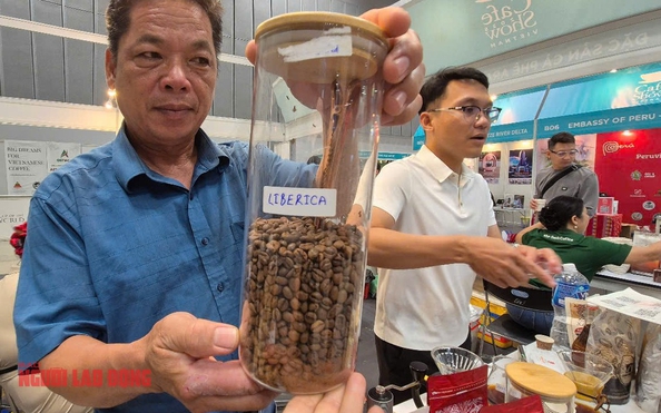 Giá cà phê hôm kèo nhà cái tỷ lệ bóng đá 27-4: Cà phê "bờ rào" bất ngờ vượt mặt Arabica!
