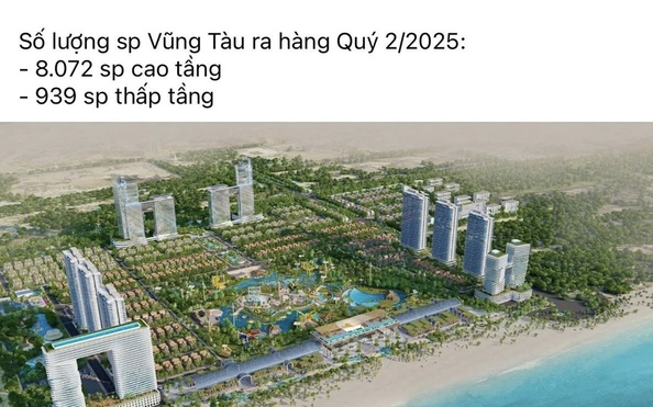 Giao công an điều tra việc rao bán "Siêu dự án đô thị biển Vũng Tàu"