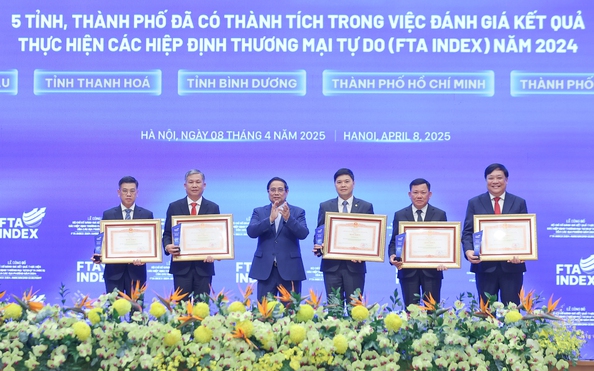 TP HCM vào nhóm 5 địa phương dẫn đầu cả nước về FTA Index