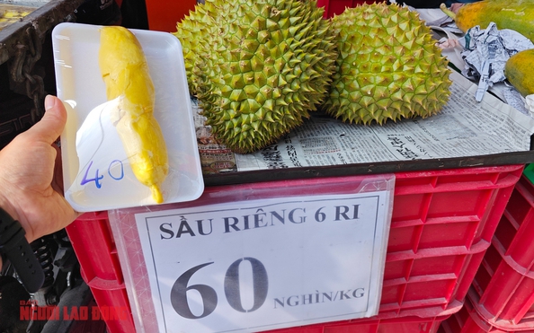 Sầu riêng loạn giá, xuất khẩu giảm sâu