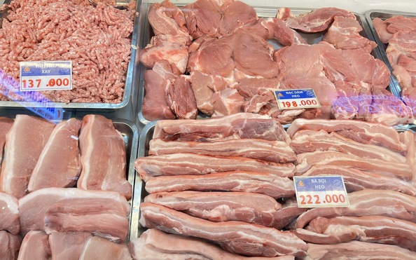 Giá heo hơi hôm nay 2-5: Ổn định nhưng vẫn cao hơn so với tuần trước