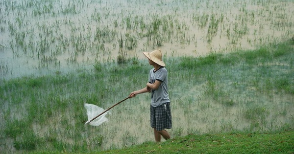 thitruong.nld.com.vn