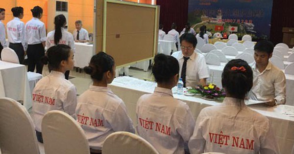 Lừa đảo xuất khẩu lao động ngày càng tinh vi