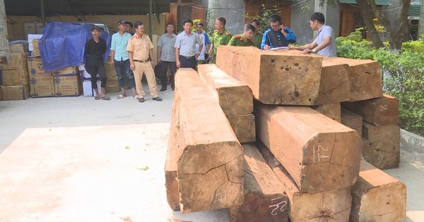 Truy bắt xe tải chở gỗ lậu mang theo dùi cui điện