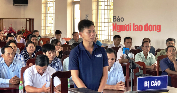 nld.com.vn