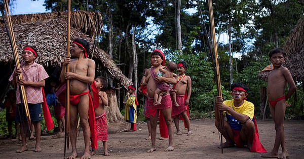 Thổ dân sống biệt lập trong rừng Amazon nhiễm Covid-19 tử vong