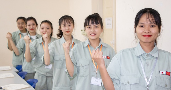 Có 4 hình thức ra nước ngoài làm việc