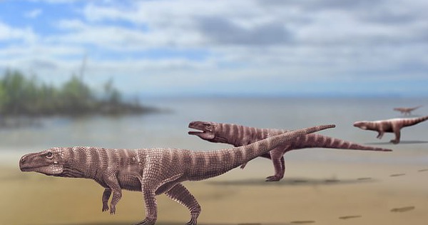Quái vật cá sấu lai khủng long bạo chúa, dấu chân như người ở