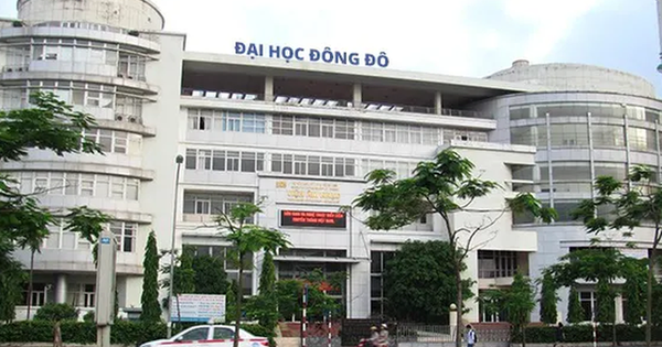 Xác định 203 người được Đại học Đông Đô cấp bằng giả Xác định 203 người được Đại học Đông Đô cấp bằng giả