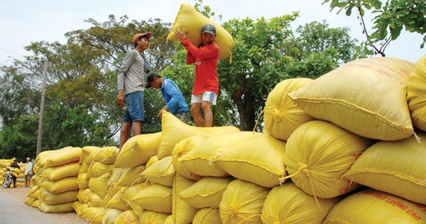 Trúng mùa đầu năm Trúng mùa đầu năm