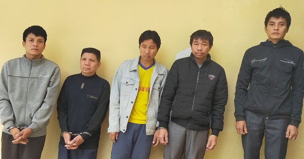 Chủ nhà hàng "kiêm" cầm đầu đường dây trộm cắp trâu, bò liên tỉnh Chủ nhà hàng "kiêm" cầm đầu đường dây trộm cắp trâu, bò liên tỉnh