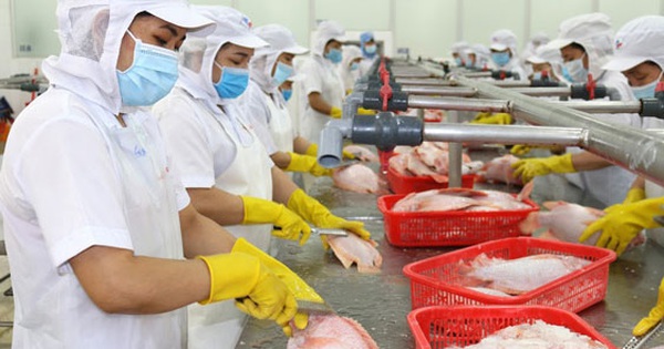 Điểm sáng tình người Điểm sáng tình người