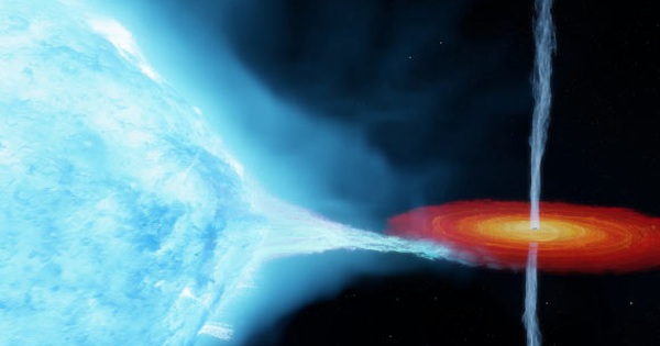 "Quái vật Thiên Nga" bằng 60 Mặt Trời hóa lỗ đen, nuốt đồng loại