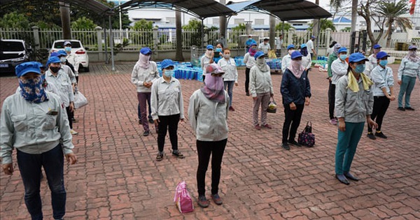 Hải Phòng: Tặng nông sản sạch cho công nhân