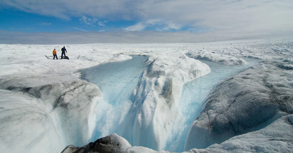 "Báu vật" bỏ quên trong… tủ lạnh tiết lộ vùng đất chưa từng biết của thế giới