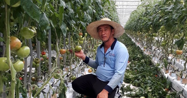 Thông tin quan trọng dành cho lao động Việt Nam tại Hàn Quốc Thông tin quan trọng dành cho lao động Việt Nam tại Hàn Quốc