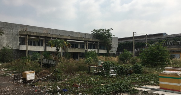 Quản chặt nhà, đất công: Đủ kiểu lãng phí, trục lợi Quản chặt nhà, đất công: Đủ kiểu lãng phí, trục lợi