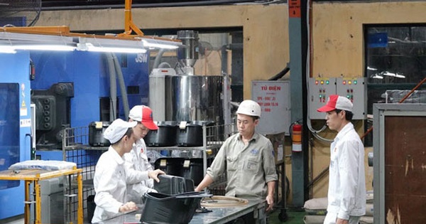 Xây tổ cho "đại bàng Việt" Xây tổ cho "đại bàng Việt"