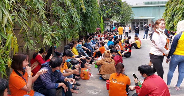 Thanh tra đột xuất các doanh nghiệp nợ đọng BHXH Thanh tra đột xuất các doanh nghiệp nợ đọng BHXH