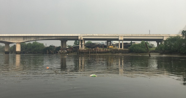 Vì sao Sở GTVT đề xuất vớt lục bình trên sông Sài Gòn?