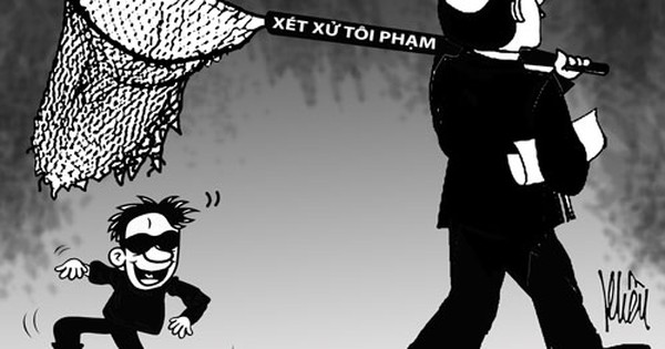 Sai sót trong xét xử vụ án lừa đảo - Vimarsana News