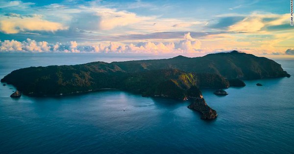 Đe dọa rình rập "siêu xa lộ" của cá mập, rùa biển - Vimarsana News