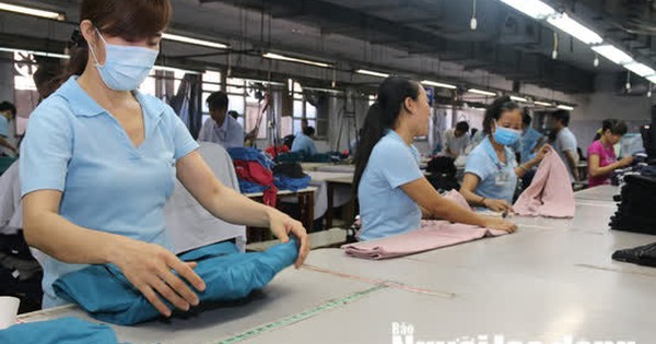Sửa đổi một số quy định về bảo hiểm xã hội bắt buộc - Vimarsana News