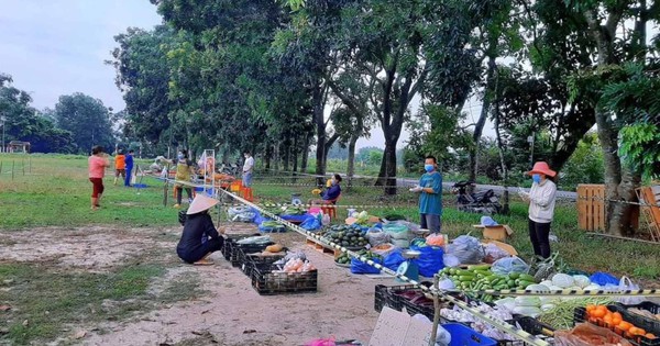 Biến sân bóng, lề đường thành chợ "dã chiến" bán rau, thịt cho bà con chống dịch - Vimarsana News