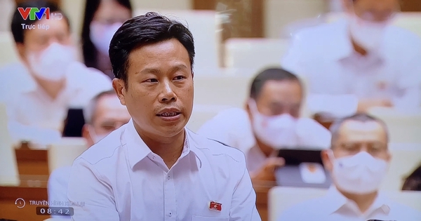GS Lê Quân: Dùng học phí làm hàng rào chống lao vào "học đại" - Vimarsana News