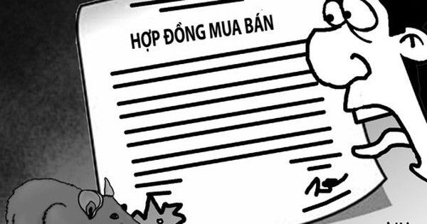 Khi hợp đồng dân sự bị vô hiệu hóa - Vimarsana News